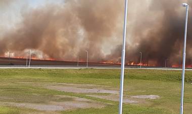 Incendio de gran magnitud en un campo al este de Gral. Roca.